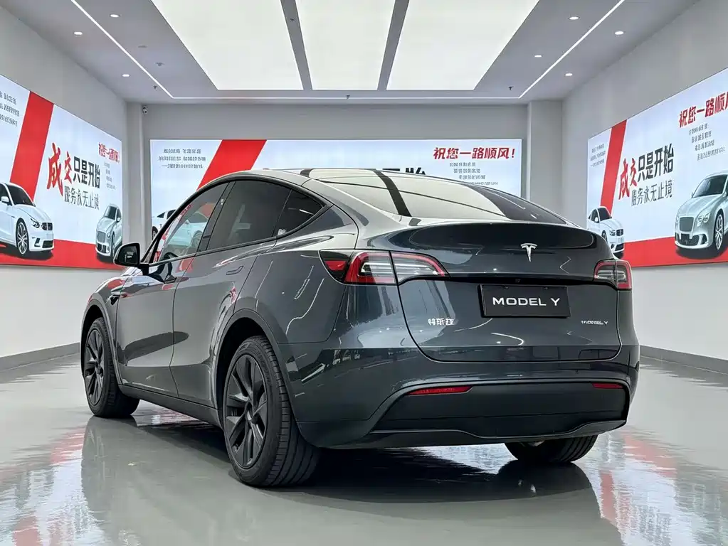 Tesla Model Y — миниатюра 14