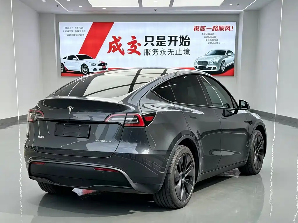 Tesla Model Y — миниатюра 15