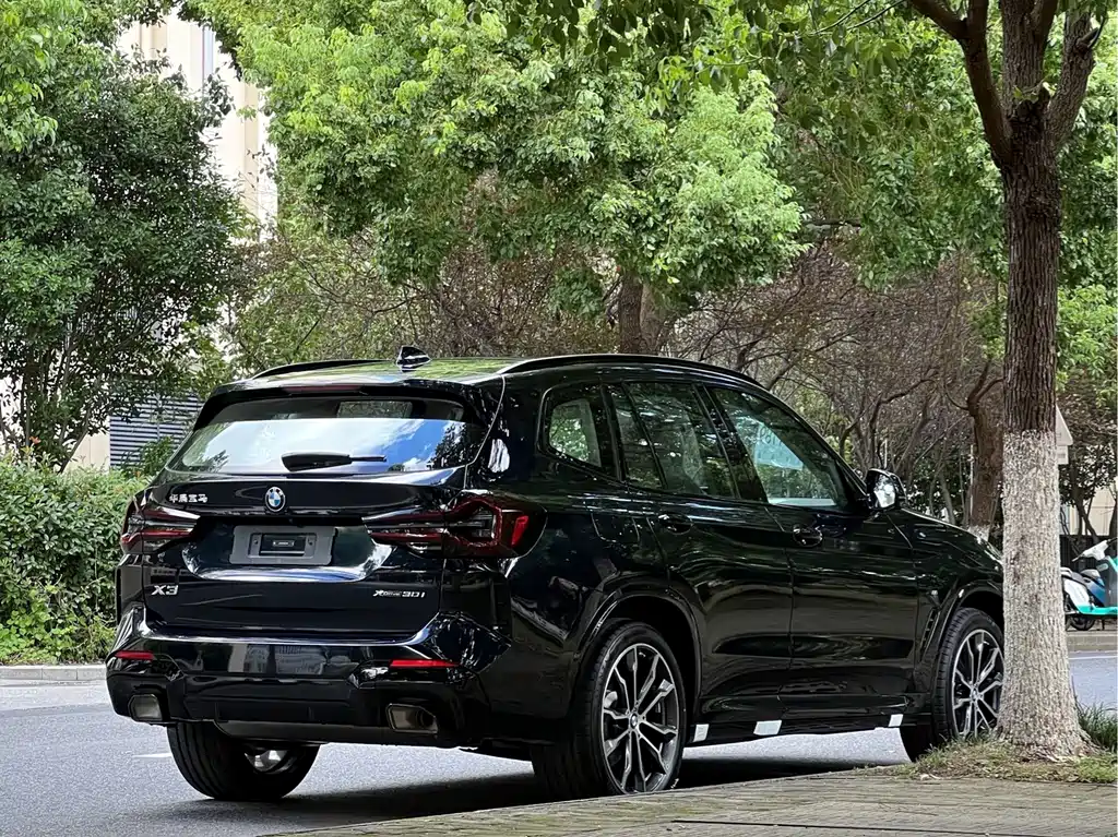 BMW X3 — миниатюра 5