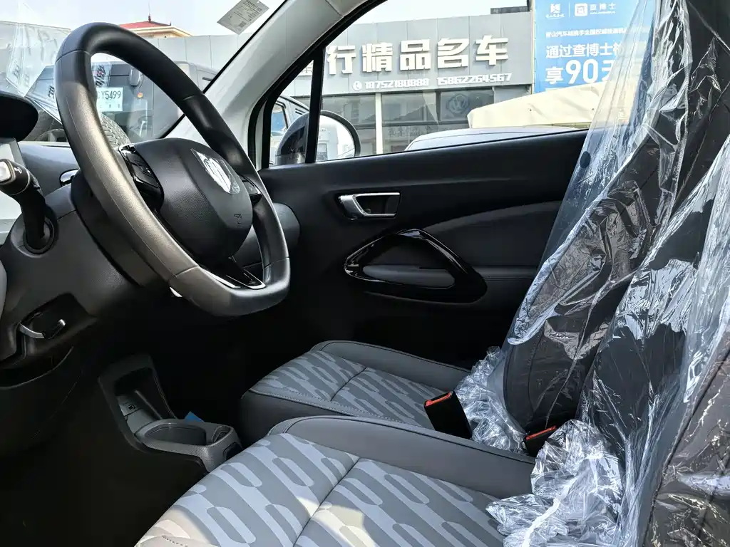Leapmotor T03 2025 310