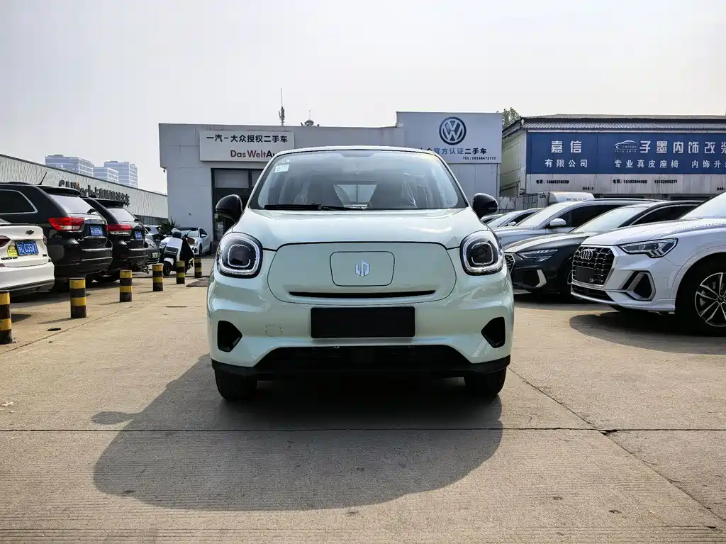 Leapmotor T03 2025 310