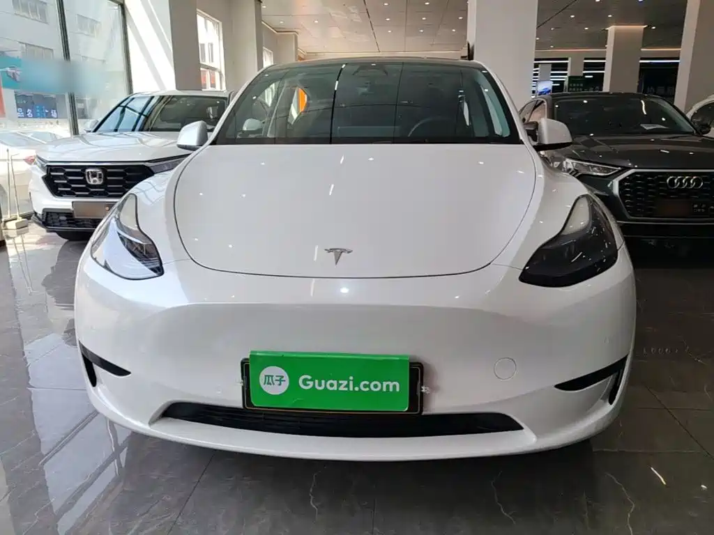 Tesla Model Y — миниатюра 3