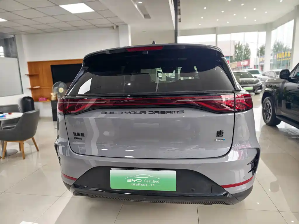 BYD Tang New Energy — миниатюра 8
