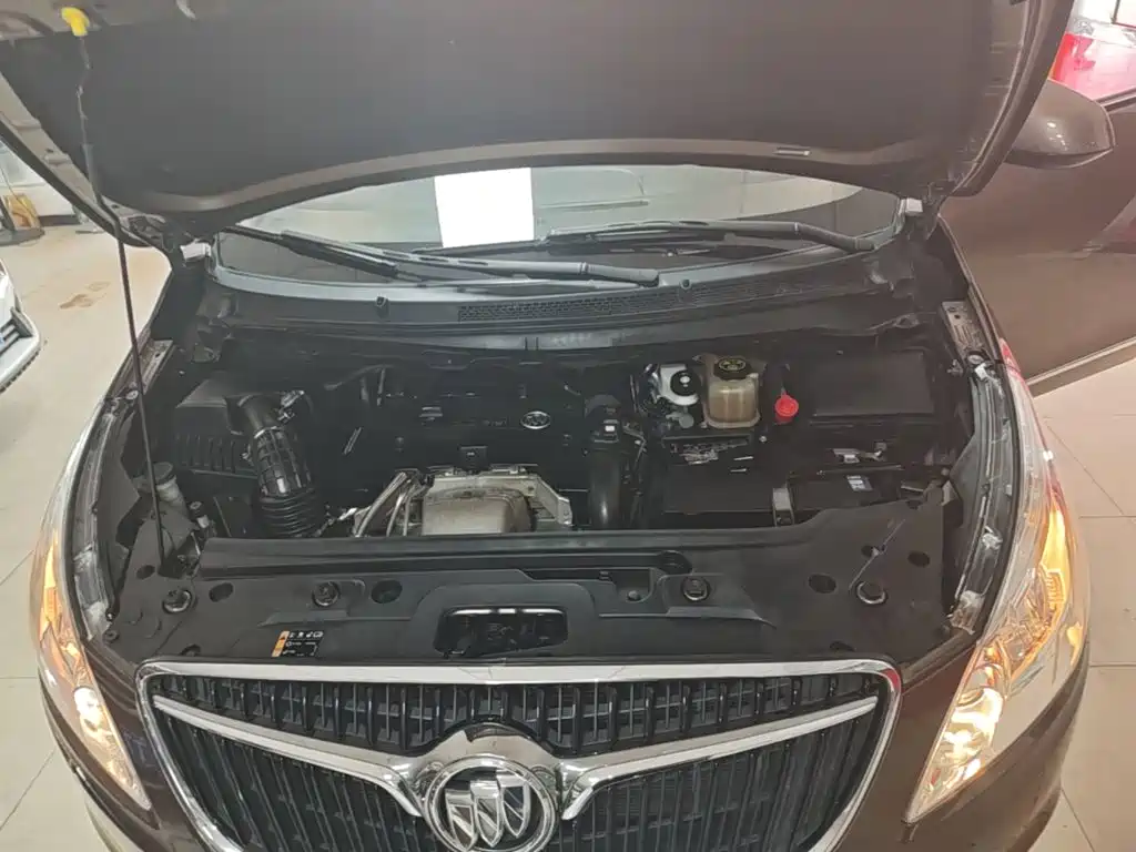 Buick GL8 — миниатюра 20