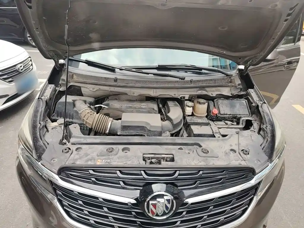 Buick GL8 — миниатюра 20