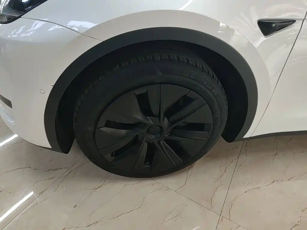 Tesla Model Y — миниатюра 23