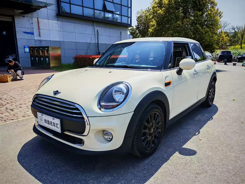 Mini Mini 2019