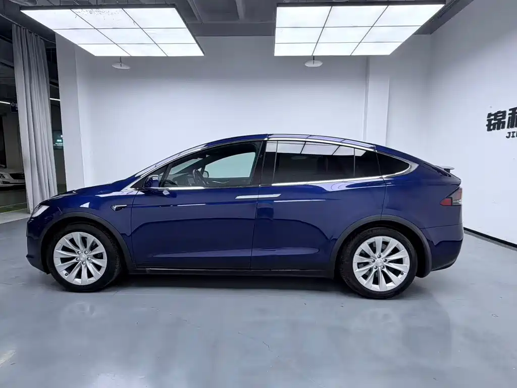 Tesla Model X — миниатюра 7