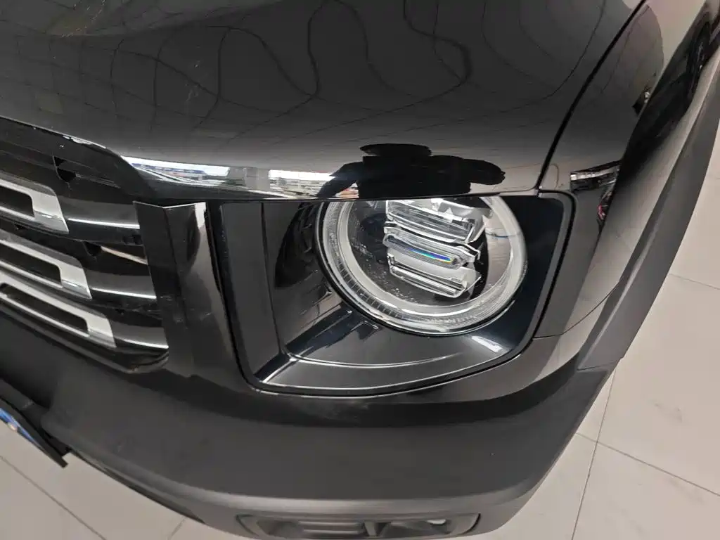 Haval Big Dog — миниатюра 20