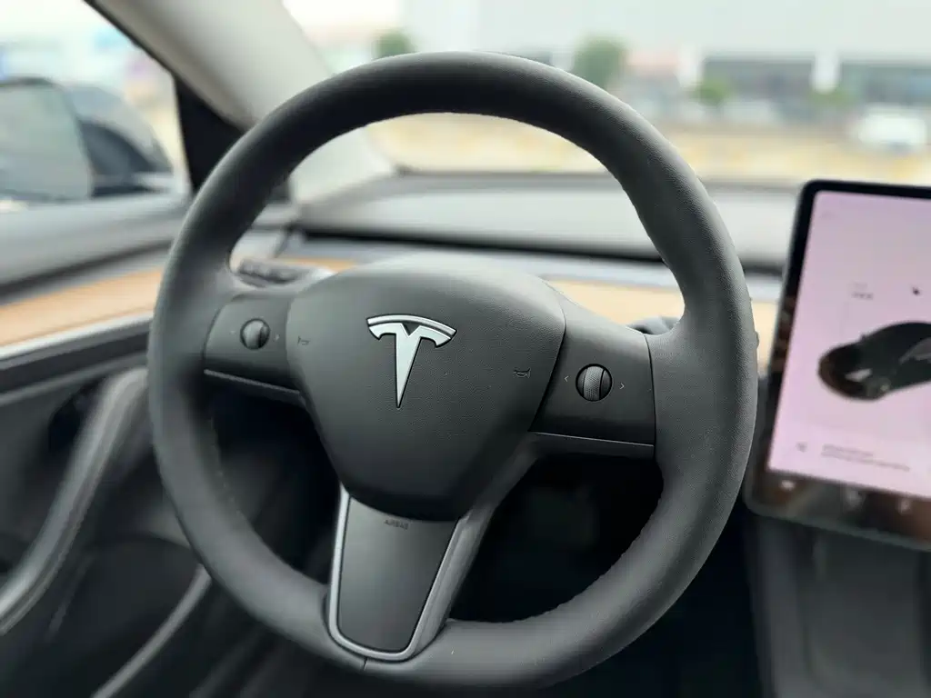 Tesla Model 3 — миниатюра 13
