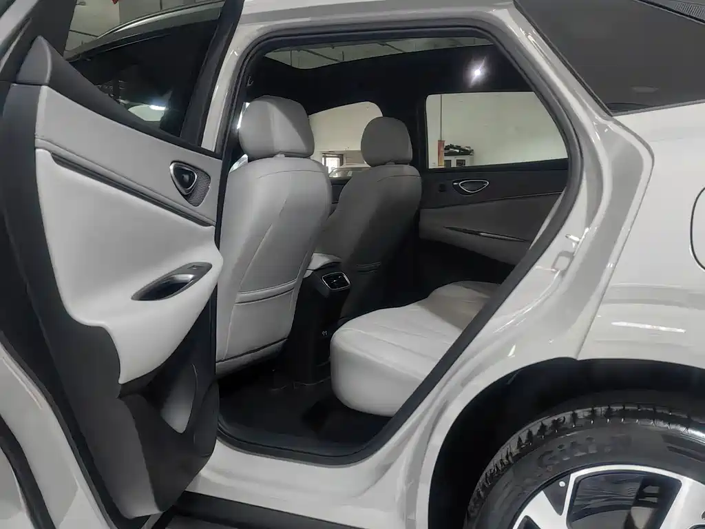 BYD Sealion 06 — миниатюра 10