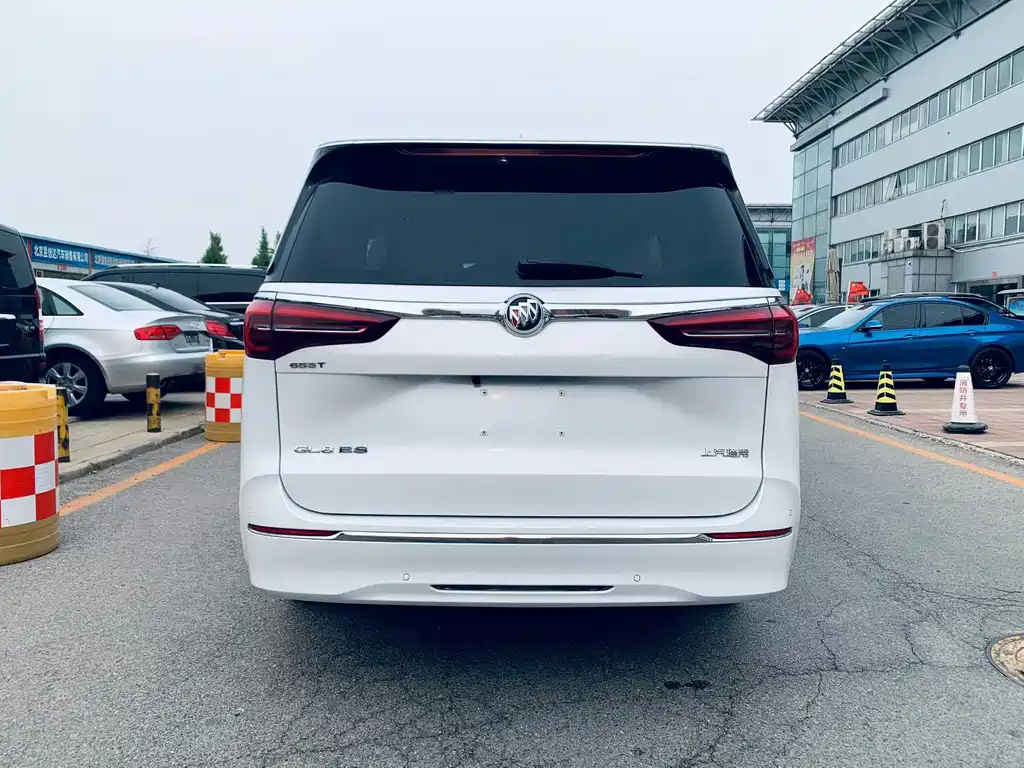 Buick GL8 — миниатюра 8