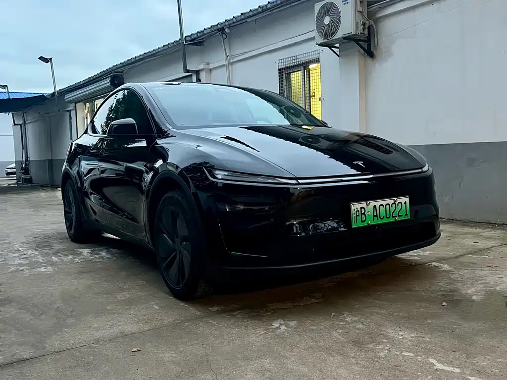 Tesla Model Y — миниатюра 3