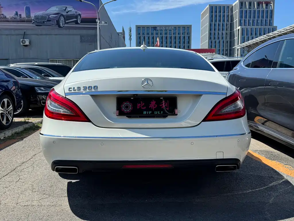 Mercedes-Benz CLS 2012 CLS 300 CGI