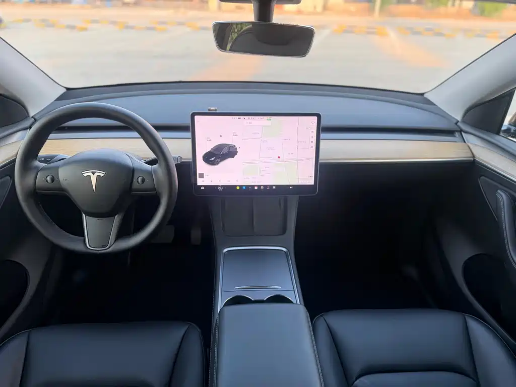 Tesla Model Y — миниатюра 12