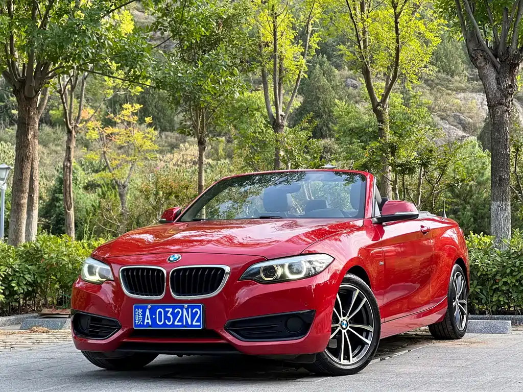 BMW 2 Series (Import)
