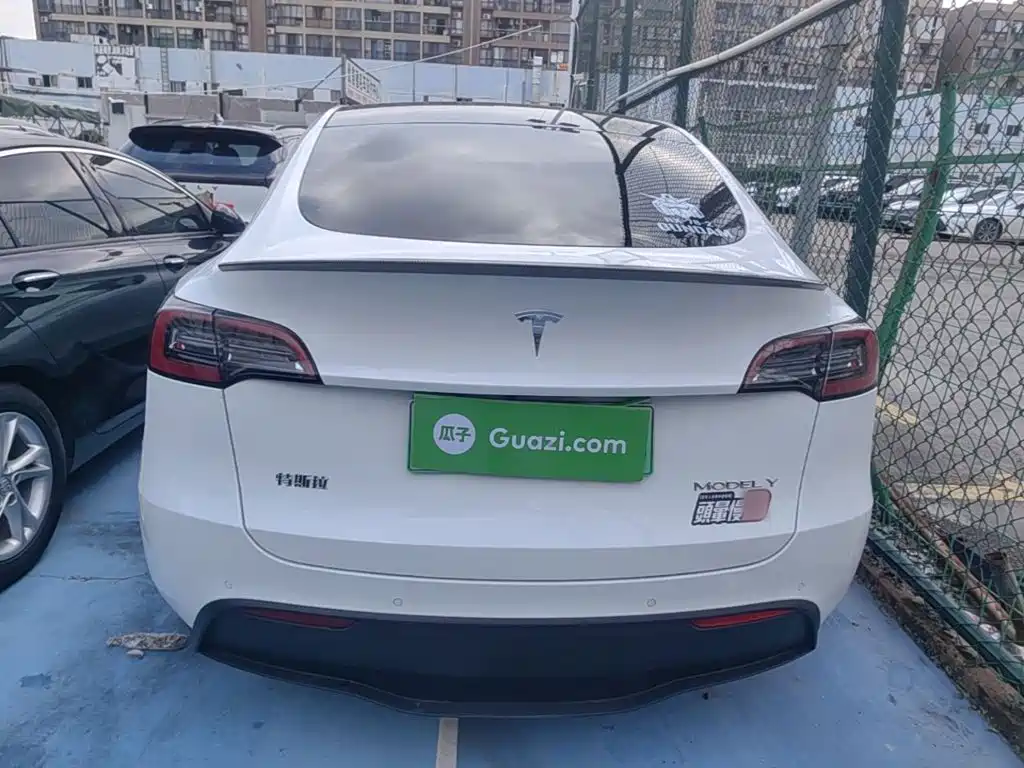 Tesla Model Y — миниатюра 6