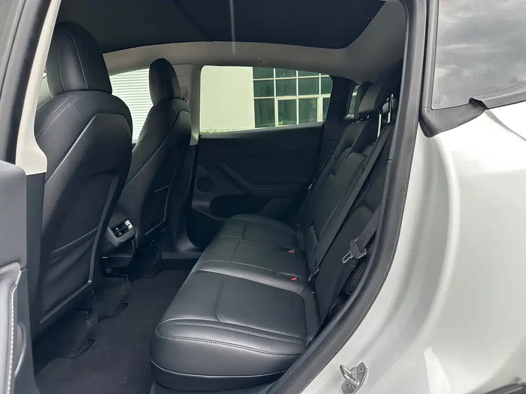Tesla Model Y — миниатюра 11