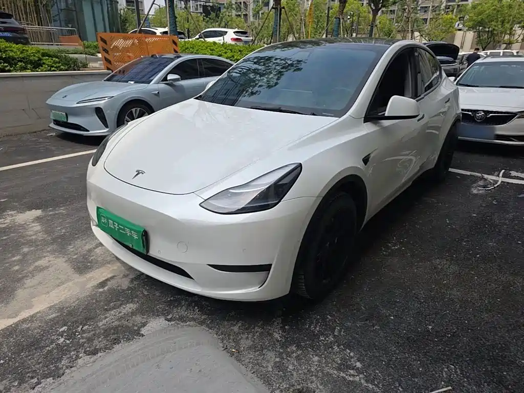 Tesla Model Y — миниатюра 2