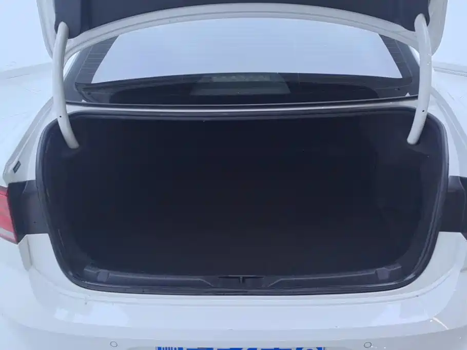 Volkswagen Lamando — миниатюра 4