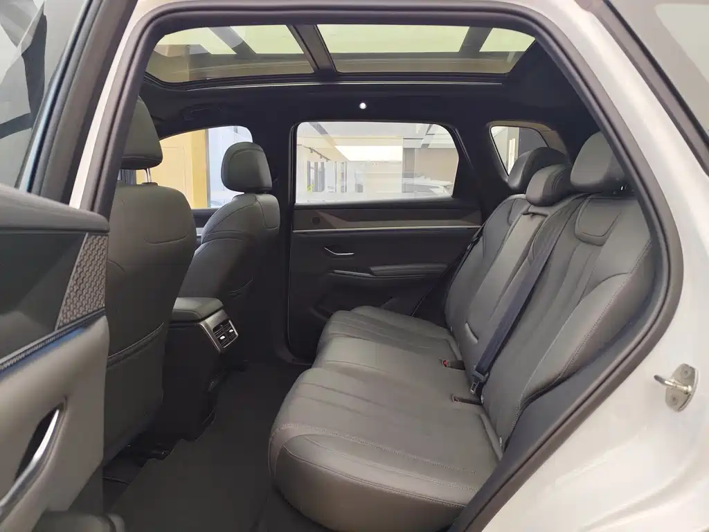BYD Pro New Energy — миниатюра 6