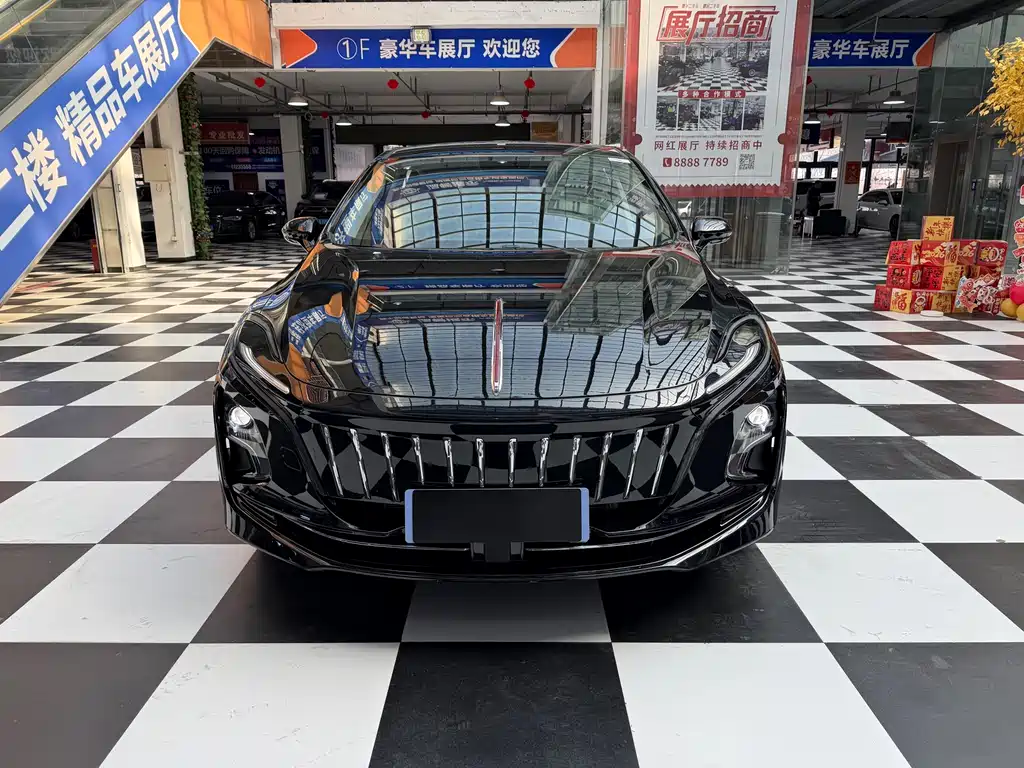 Hongqi HONGQI E QM5