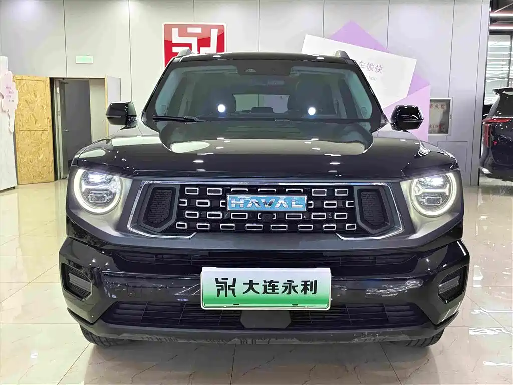 Haval Big Dog PLUS New Energy — миниатюра 2