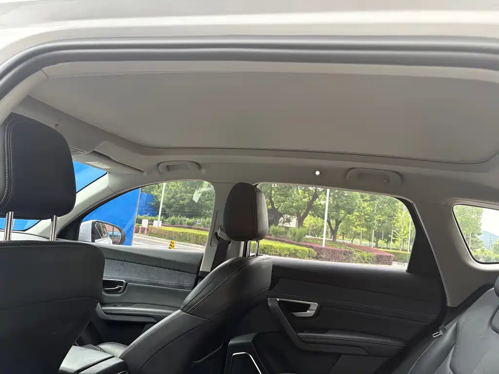 BYD Pro New Energy — миниатюра 6
