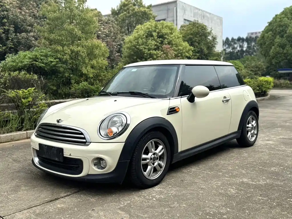 Mini Mini 2013