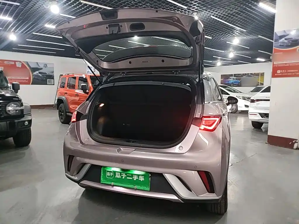 BYD Dolphin — миниатюра 19