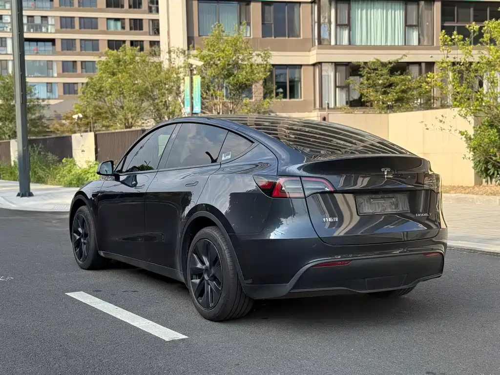 Tesla Model Y — миниатюра 6
