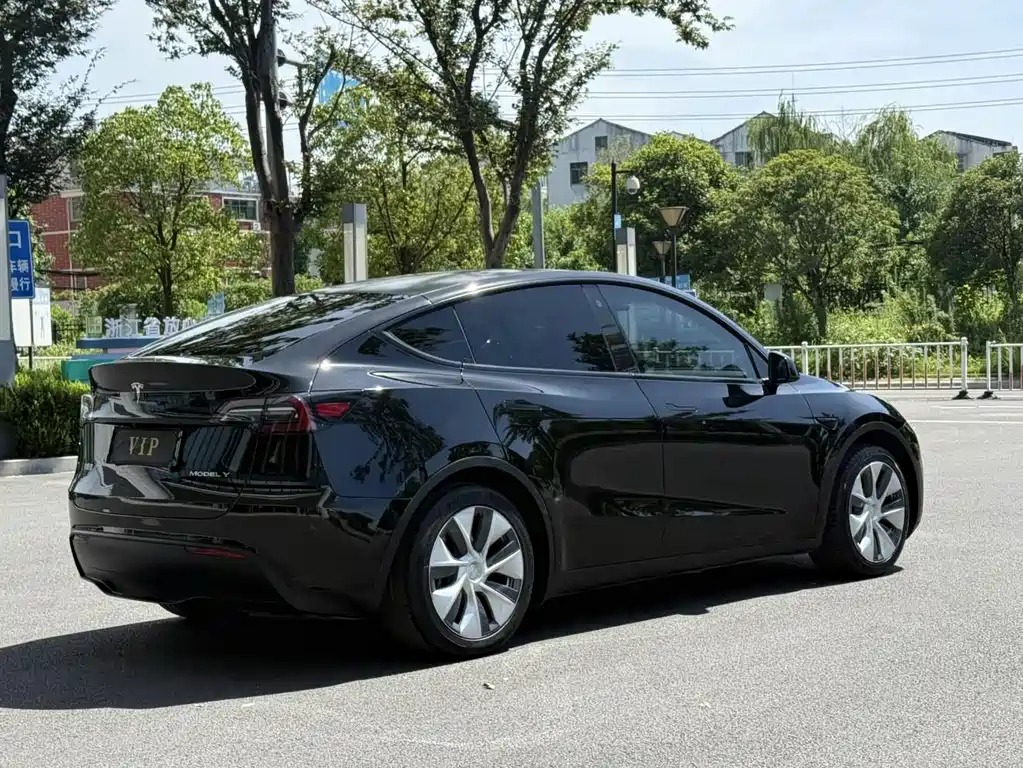 Tesla Model Y — миниатюра 9