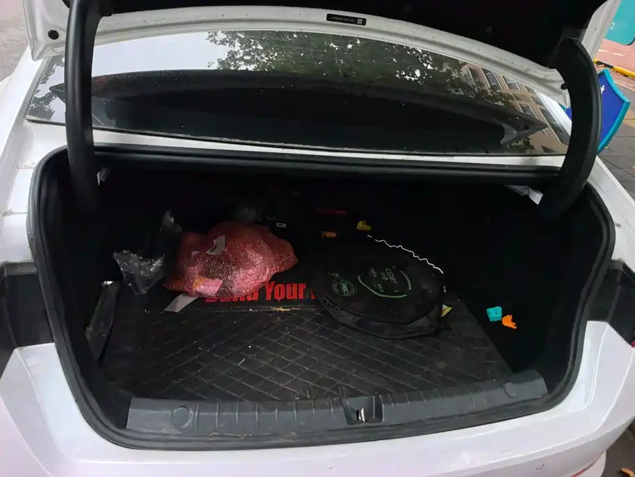BYD Qin Pro NEV — миниатюра 4
