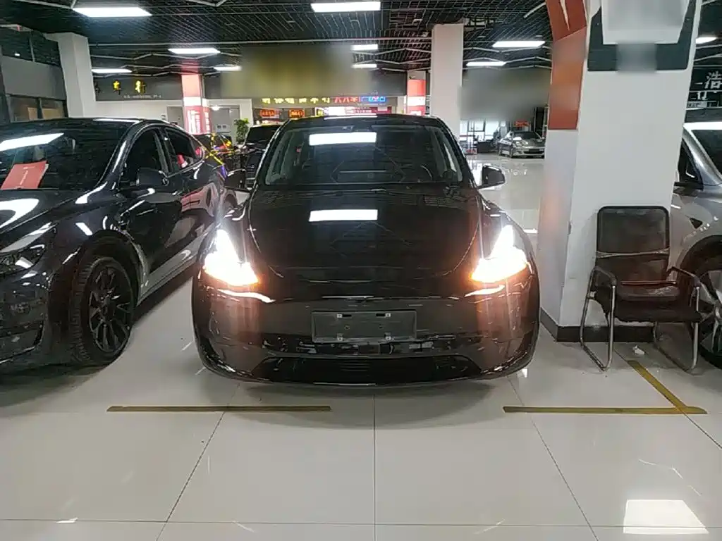 Tesla Model Y — миниатюра 3