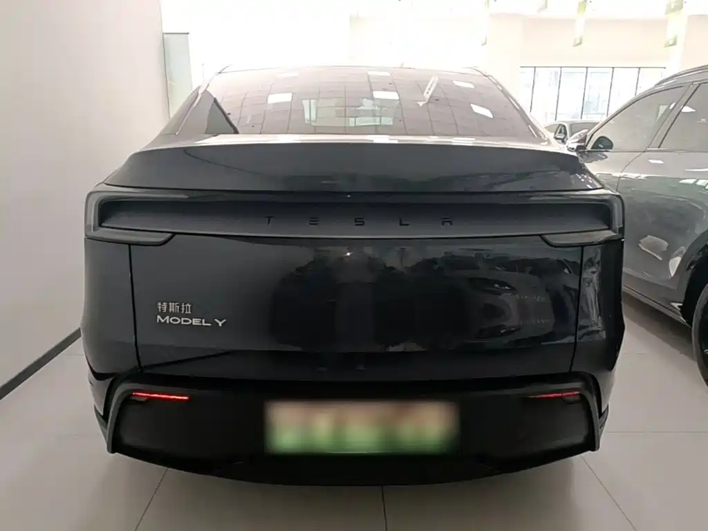 Tesla Model Y — миниатюра 6