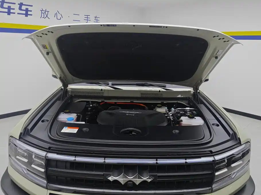 Fang Cheng Bao Leopard 5 — миниатюра 10
