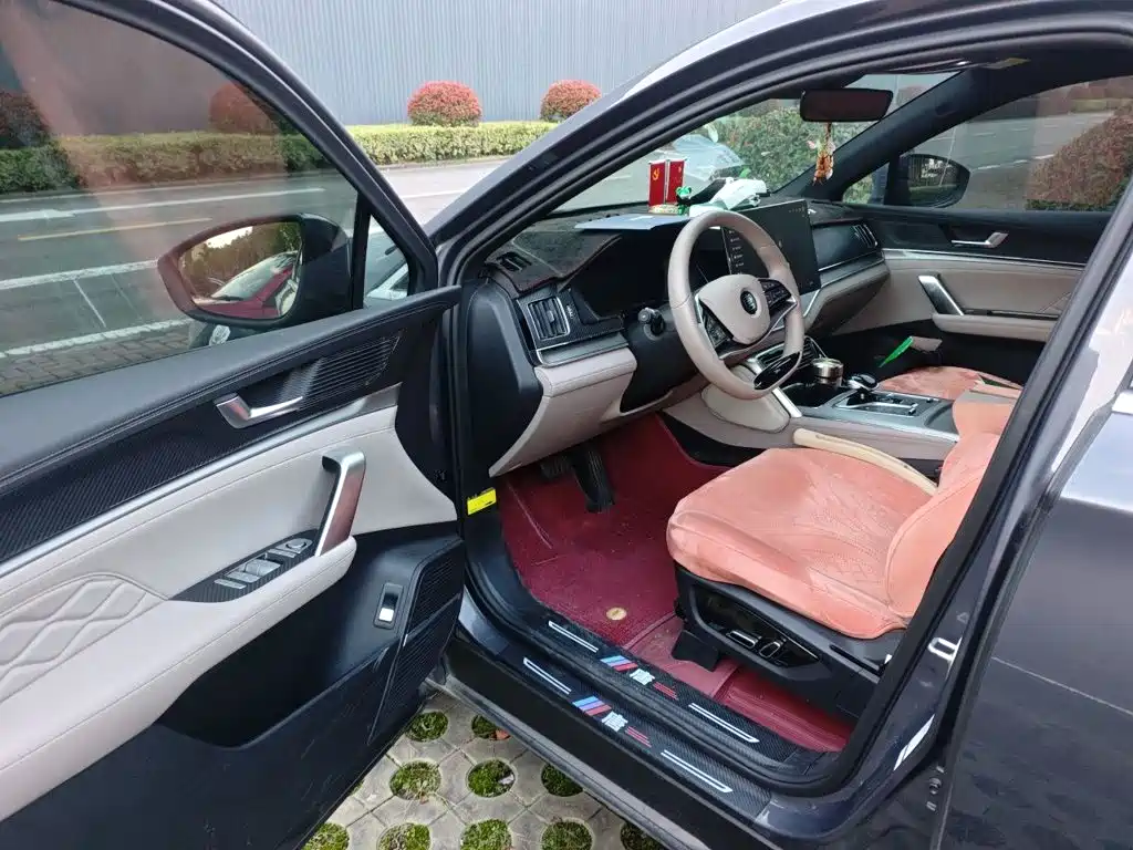 BYD Tang New Energy — миниатюра 17