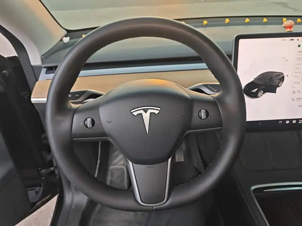 Tesla Model Y — миниатюра 11