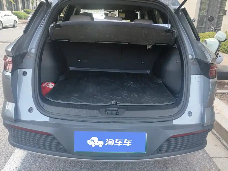 BYD Pro New Energy — миниатюра 4