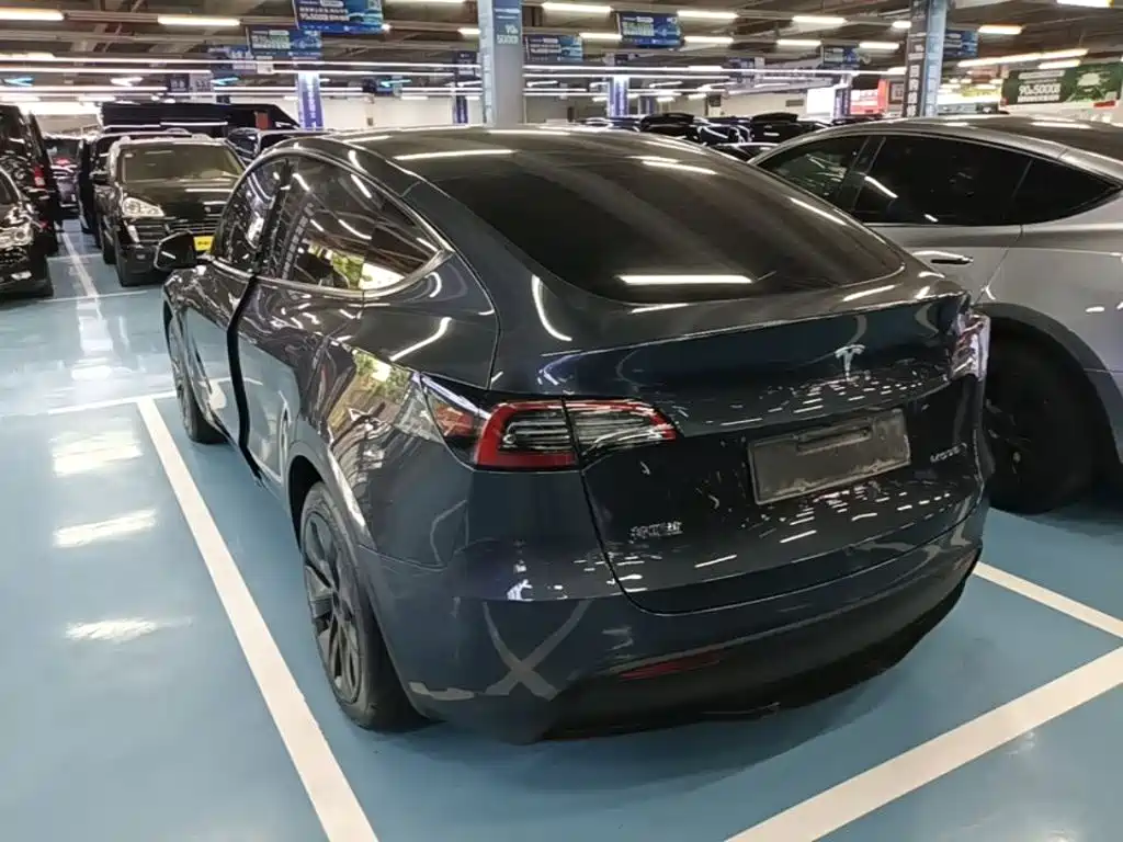 Tesla Model Y — миниатюра 5
