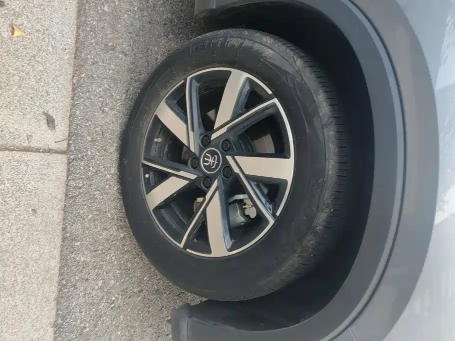 BYD Pro New Energy — миниатюра 6