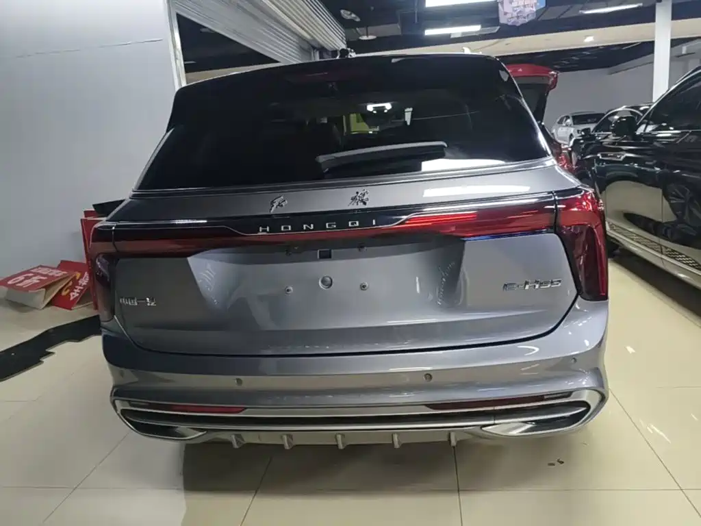 Hongqi Hongqi E-HS9 — миниатюра 6