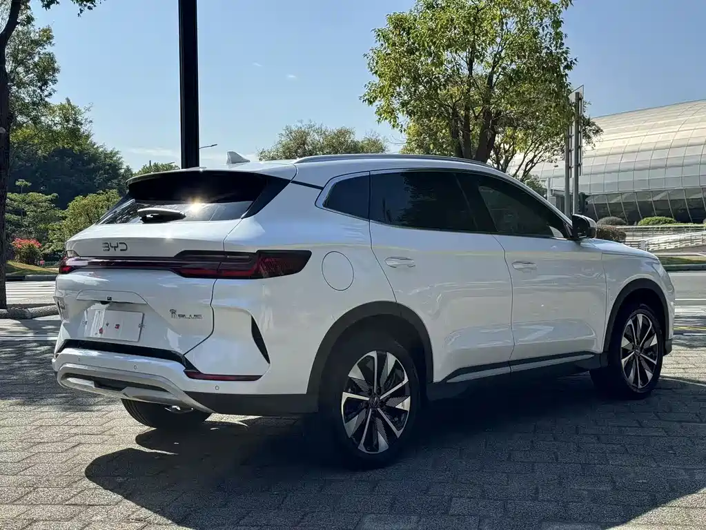 BYD SONGJIANG NEW ENERGY