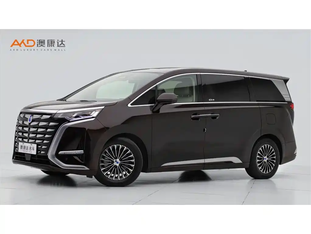 Denza Denza D9