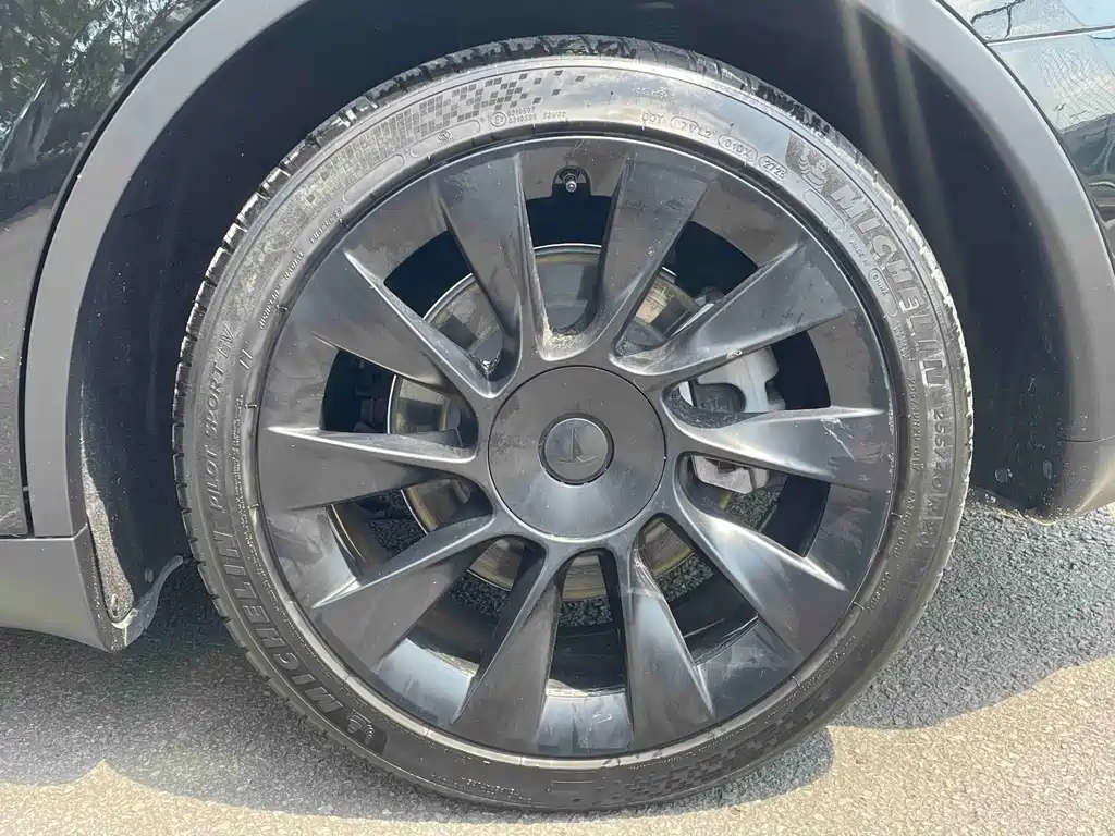 Tesla Model Y — миниатюра 4