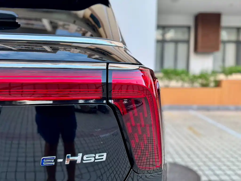 Hongqi Hongqi E-HS9 — миниатюра 22