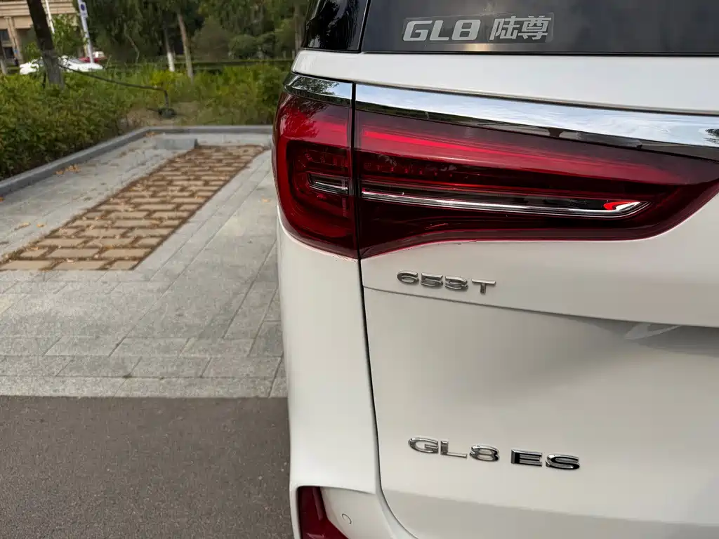 Buick GL8 — миниатюра 18