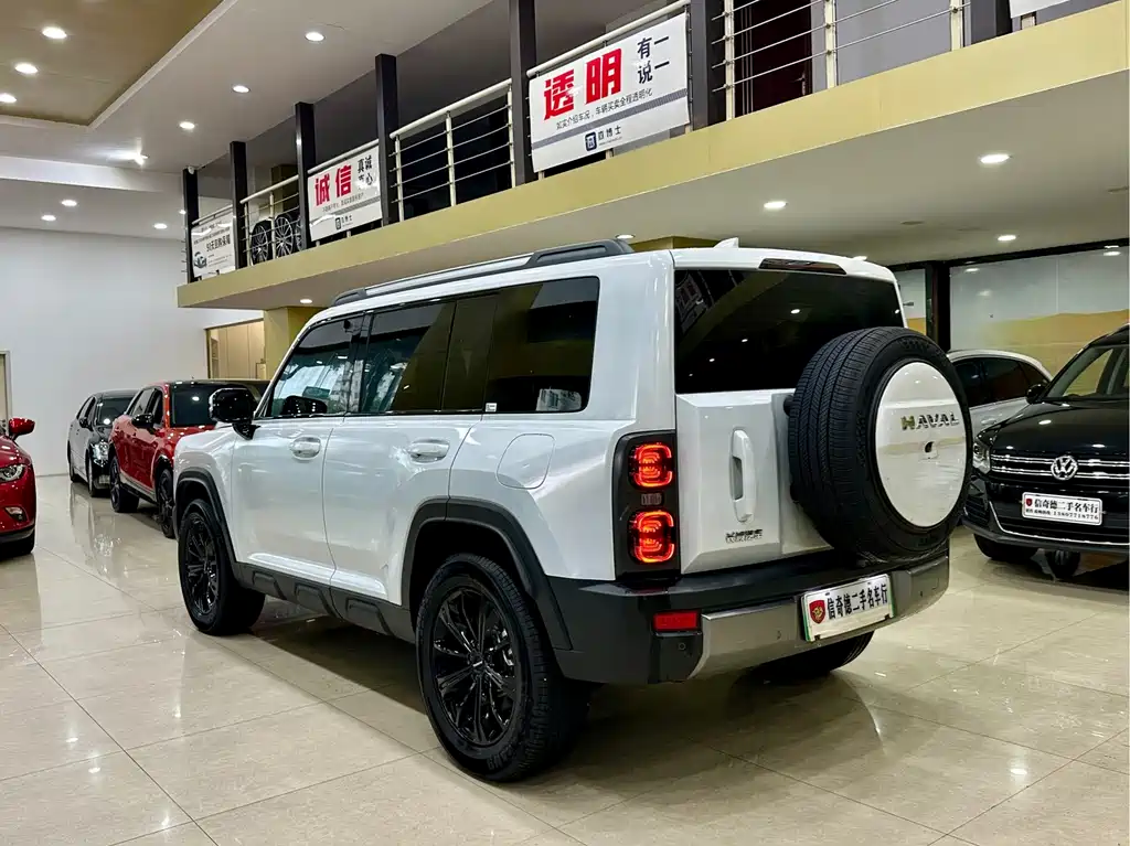Haval Menglong New Energy — миниатюра 7