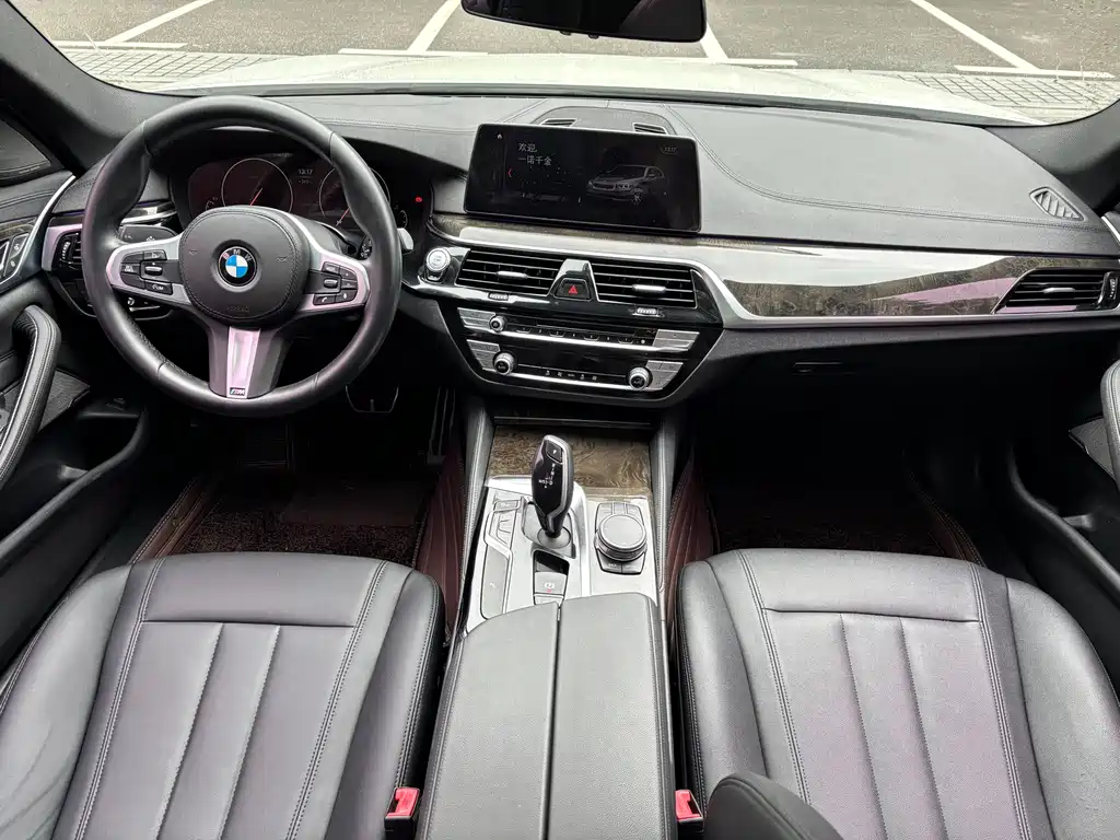 BMW 5 Series 5 2019 525Li M Sport