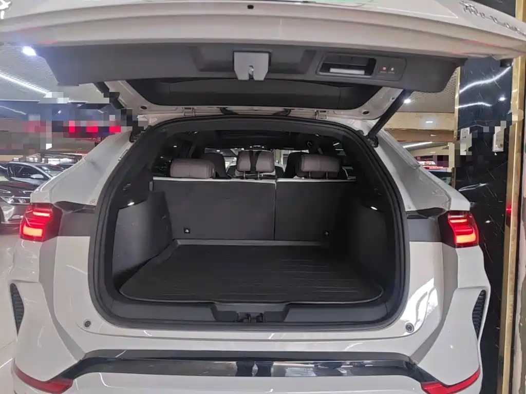 BYD PLUS New Energy — миниатюра 19